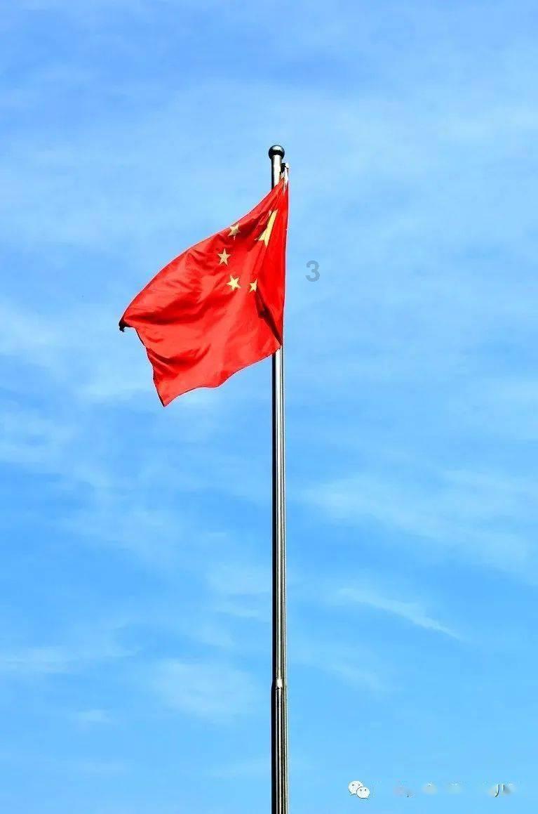 唐河县文峰街道：热线受理及时办 政务服务践初心
